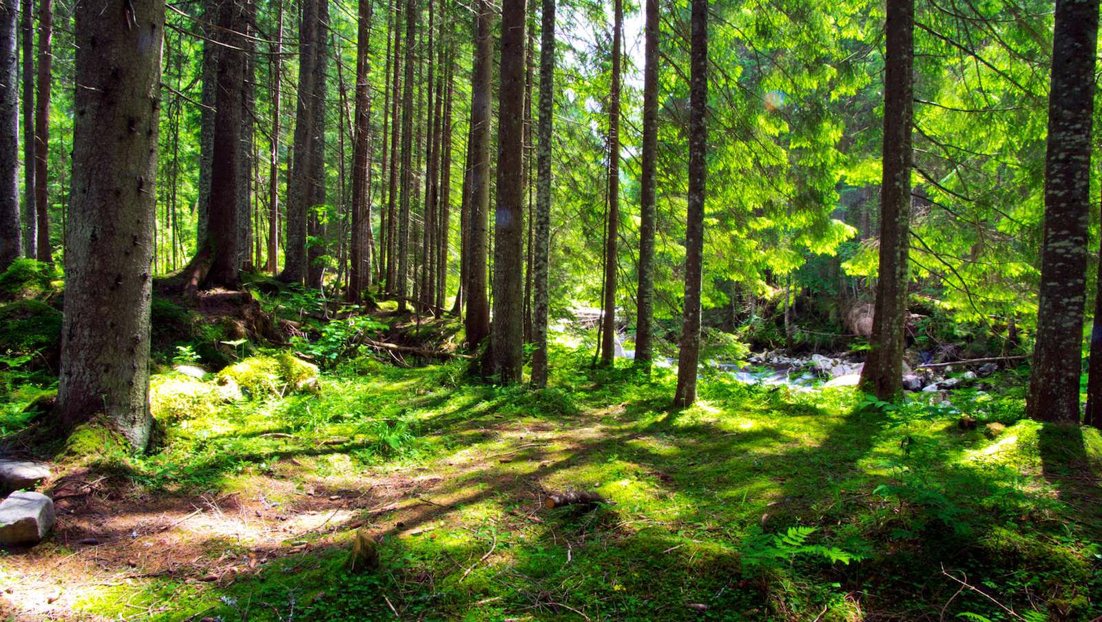 Entspannungsurlaub in der Natur Outdoorzentrum Lahntal